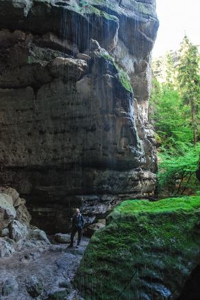 Impressions from Nationalpark Sächsische Schweiz #109, Nationalpark Sächsische Schweiz, August 2017