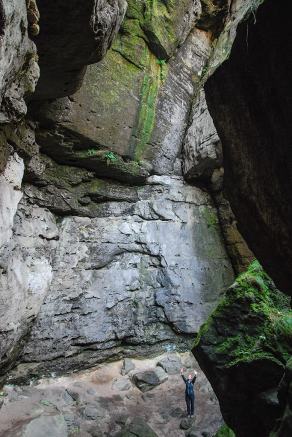 Impressions from Nationalpark Sächsische Schweiz #111, Nationalpark Sächsische Schweiz, August 2017