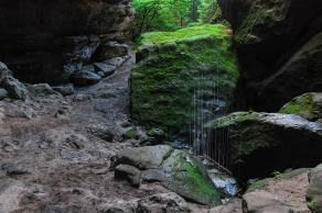 Impressions from Nationalpark Sächsische Schweiz #113, Nationalpark Sächsische Schweiz, August 2017