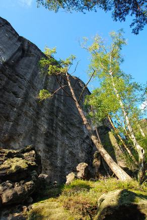 Impressions from Nationalpark Sächsische Schweiz #119, Nationalpark Sächsische Schweiz, August 2017