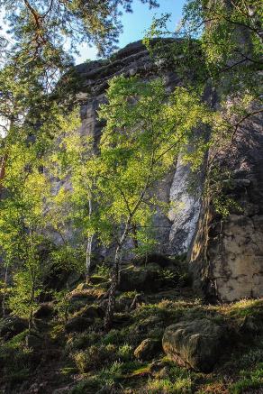 Impressions from Nationalpark Sächsische Schweiz #120, Nationalpark Sächsische Schweiz, August 2017