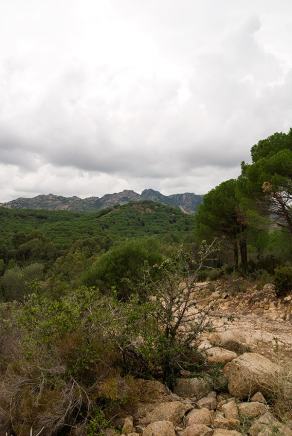 Impressions from Sardinien #6, Sardinien, September 2010