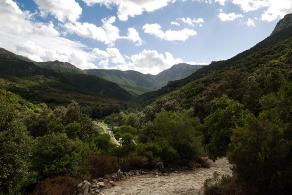 Impressions from Sardinien #22, Sardinien, September 2010