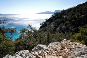 Impressions from Sardinien #42, Sardinien, September 2010