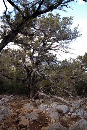 Impressions from Sardinien #54, Sardinien, September 2010
