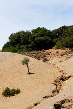 Impressions from Sardinien #95, Sardinien, September 2010